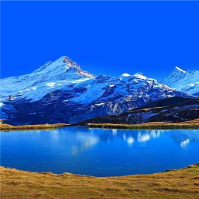 助赢软件appapp下载