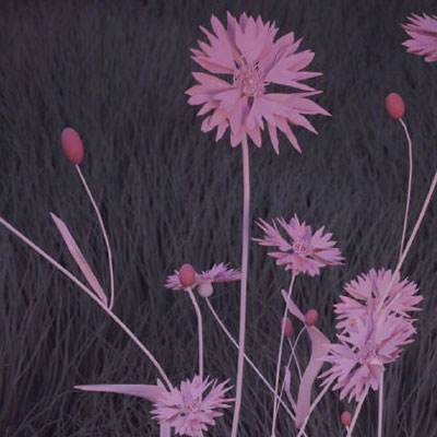 正规的大小单双平台网址截图