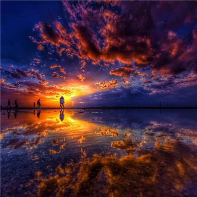 金星app安装下载官网