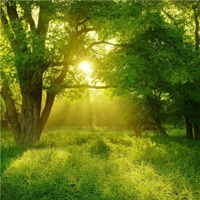 助赢软件appapp下载